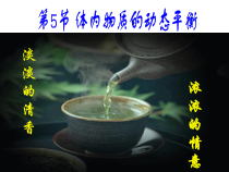 《体内物质的动态平衡》PPT课件 (5)-九年级上册科学浙教版