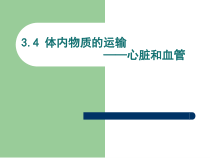 《体内物质的运输（2）》PPT课件-九年级上册科学浙教版