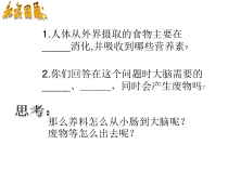 《体内物质的运输》（第一课时）PPT课件-九年级上册科学浙教版