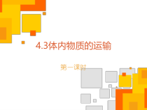 《体内物质的运输》PPT课件 (3)-九年级上册科学浙教版