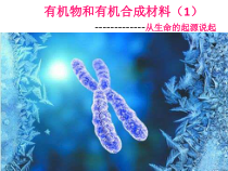 《有机物和有机合成材料（1）》PPT课件-九年级上册科学浙教版