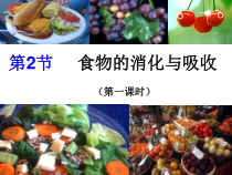 4.2.1《食物的消化与吸收》PPT课件-九年级上册科学浙教版
