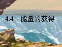 4.4《能量的获得》PPT课件 (3)-九年级上册科学浙教版