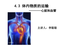 4.3 《体内物质的运输——心脏和血管》PPT课件-九年级上册科学浙教版