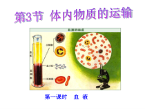 4.3《体内物质的运输》PPT课件-九年级上册科学浙教版