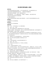 《来自微生物的威胁》（第二课时）教案-九年级下册科学浙教版