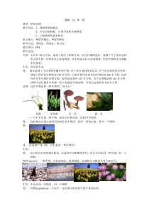 2.2《种群》教案-九年级下册科学浙教版