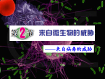 《来自微生物的威胁（2）》PPT课件-九年级下册科学浙教版