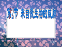 《来自微生物的威胁》PPT课件3-九年级下册科学浙教版
