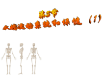 《人的运动系统和保健（一）》PPT课件-九年级下册科学浙教版