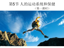《人的运动系统和保健》（第一课时）PPT课件-九年级下册科学浙教版