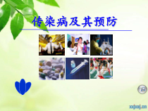 《来自微生物的威胁——传染病》PPT课件-九年级下册科学浙教版