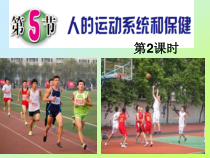 《人的运动系统和保健》PPT课件 (2)-九年级下册科学浙教版