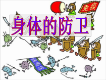 《身体的防卫》（第一课时）PPT课件-九年级下册科学浙教版