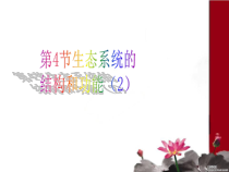 《生态系统的结构和功能（2）》PPT课件-九年级下册科学浙教版