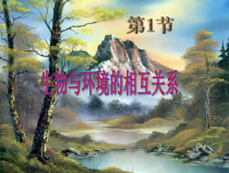 《生物与环境的相互关系》PPT课件 (3)-九年级下册科学浙教版