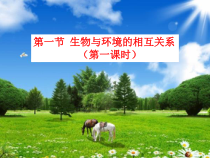 《生物与环境的相互关系》（第一课时）PPT课件-九年级下册科学浙教版