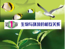 《生物与环境的相互关系》PPT课件-九年级下册科学浙教版