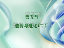 《遗传与进化（二）》PPT课件-九年级下册科学浙教版