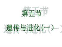 《遗传与进化（一）》PPT课件 (2)-九年级下册科学浙教版