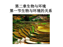 《生物与环境的相互关系》PPT课件-九年级下册科学浙教版