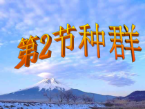 《种群》PPT课件-九年级下册科学浙教版