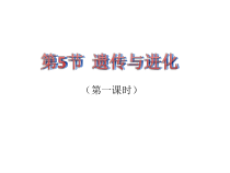 1.5《遗传与进化》（第一课时）PPT课件-九年级下册科学浙教版
