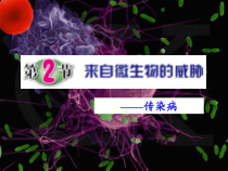 3.2《来自微生物的威胁》(第三课时)PPT课件-九年级下册科学浙教版