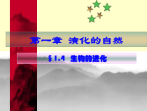 1.4《生物的进化》PPT课件-九年级下册科学浙教版