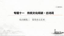 (全国版)高考语文一轮复习课件第6部分 专题11 对点精练二 鉴赏语言艺术 (含详解)