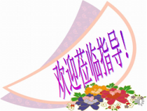 《认识总体国家安全观》PPT课件1-统编版八年级上册道德与法治