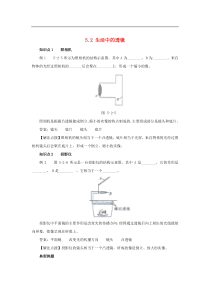人教版八年级物理上册 5.2 生活中的透镜 考点训练（含解析）