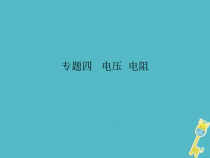 人教版九年级物理全册专题4电压电阻 课件(含答案)