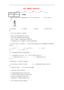 人教版八年级物理下册第7章 第3节重力 课时练习(含答案)