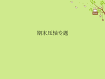 人教版九年级物理全册期末压轴专题 课件(含答案)
