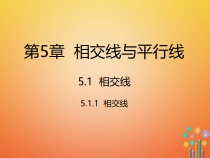 人教版七年级数学下册5.1.1《相交线》课件(含答案)