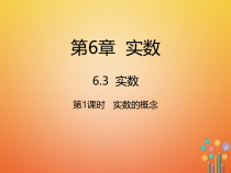 人教版七年级数学下册6.3.1《实数的概念》课件(含答案)