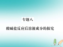 沪教版九年级化学全册专题8酸碱盐反应后溶液成分的探究 习题课件（含答案）
