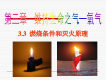科粤版化学九年级上课件：3.3 燃烧条件和灭火原理 （共20张） 