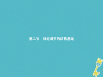 济南版七年级生物下册3.5.2神经调节的结构基础 课件(含答案)