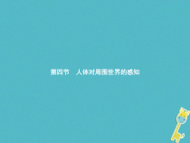 济南版七年级生物下册3.5.4人体对周围世界的感知 课件(含答案)