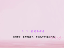 华东师大版七年级数学下册6.3实践与探索第1课时图形的周长面积及等积变形问题 习题课件(含答案)
