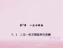 华东师大版七年级数学下册7.1二元一次方程组和它的解 习题课件(含答案)