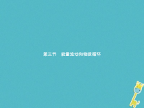 济南版八年级生物下册6.2.3能量流动和物质循环 课件