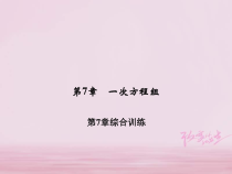 华东师大版七年级数学下册一次方程组综合训练 习题课件(含答案)