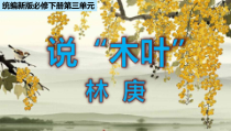 统编版高中语文必修下册教学课件9 《说“木叶”》
