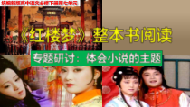 统编版高中语文必修下册教学课件《红楼梦》整本书阅读9：专题研讨：体会小说的主题