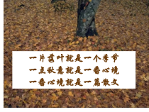 统编版高中语文必修上册课件：14.1《故都的秋