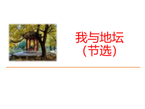 统编版高中语文必修上册课件：15《我与地坛（节选）》