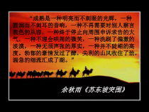统编版高中语文必修上册精品课件：16.1《 赤壁赋》3